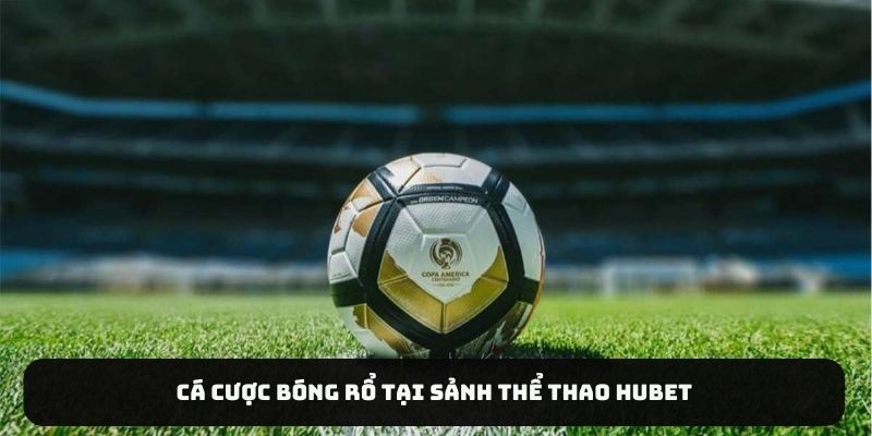 Cá cược bóng rổ tại sảnh thể thao HUBET