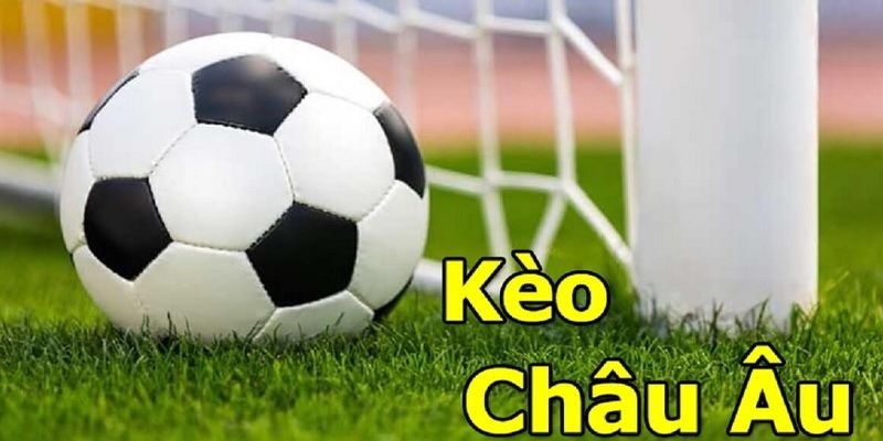 Tips đặt cược hiệu quả giúp dễ dàng ăn tiền kèo 1x2 tại nhà cái Hubet