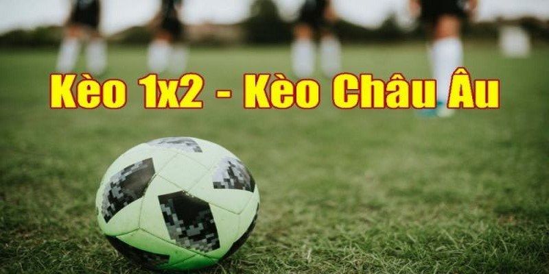 Hướng dẫn cách đọc bảng cược 1x2 online chi tiết và hiệu quả